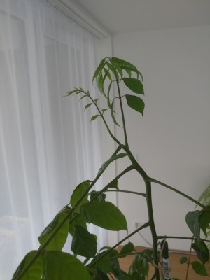 20201104_133448.jpg