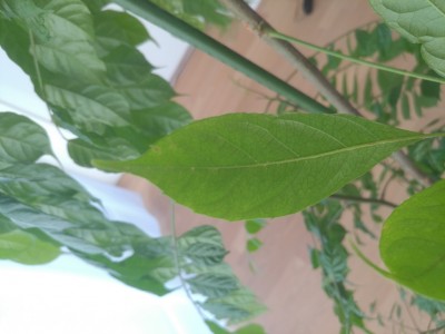 20201106_141020.jpg