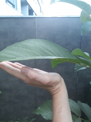 x20200823_184835.jpg