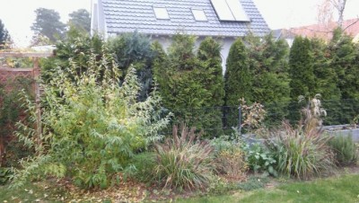 20201109_142336.jpg
