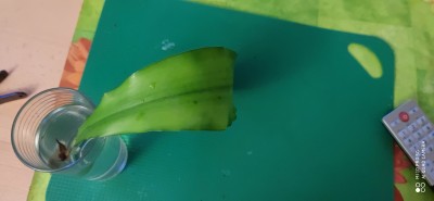 IMG_20201109_165634.jpg