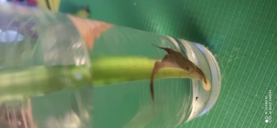 IMG_20201109_165624.jpg