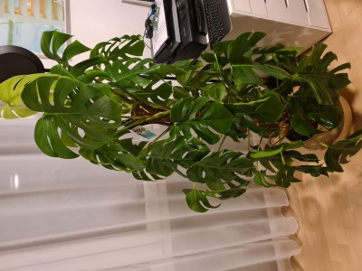 20201110_203647.jpg