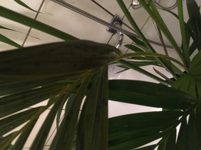 503C7B4F-88DE-4FA0-97D7-B3B2E6CE6622.jpeg