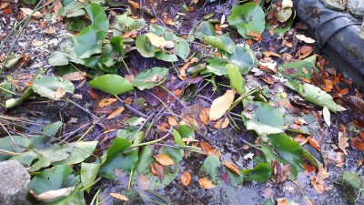 20201115_095035.jpg