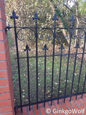 20201116_090142.jpg