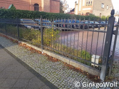 20201116_091009.jpg