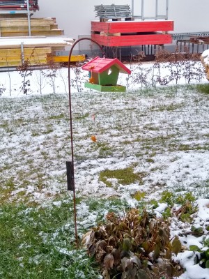 IMG_20201205_103053618_HDR.jpg