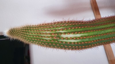 20201214_094239.jpg