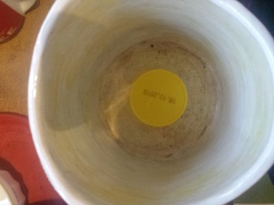 20201220_101238.jpg