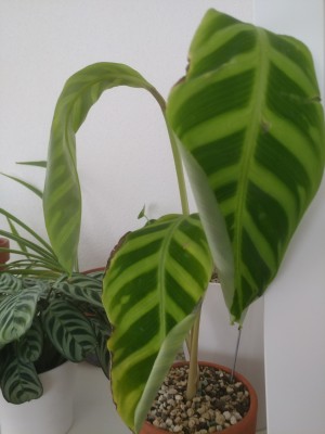 20201224_115933.jpg