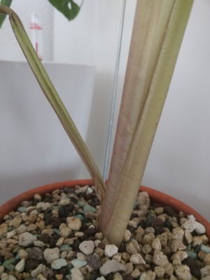 20201224_115923.jpg