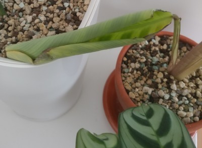 20201224_115506.jpg