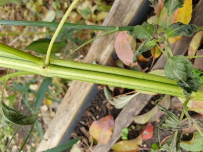 foto 1.jpg