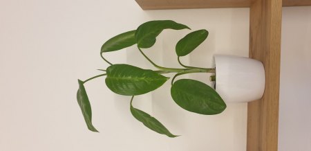Was ist das?