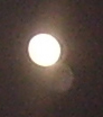 meins 263köäöö.jpg