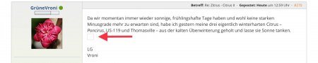 Bilder hochladen