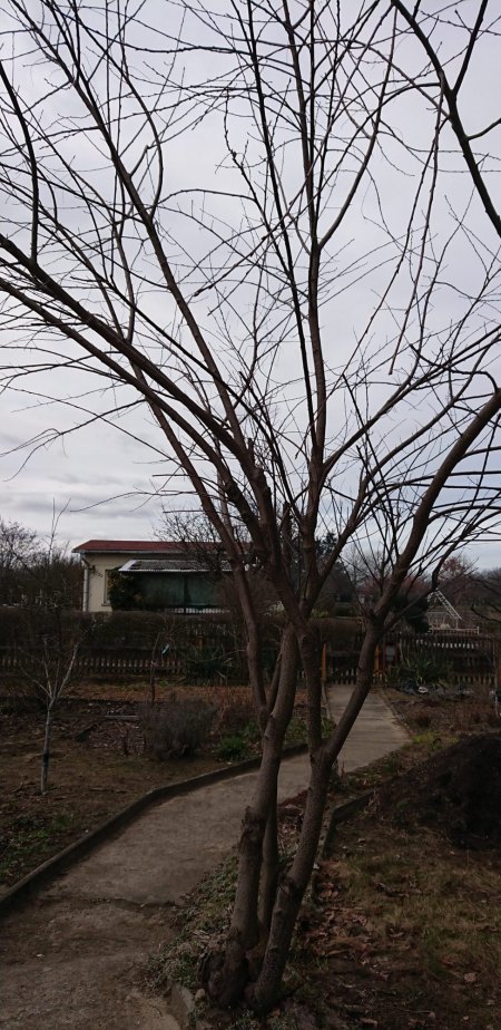 Wer sind wir? die Vierte