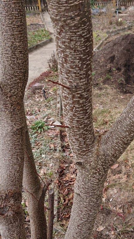 Wer sind wir? die Vierte