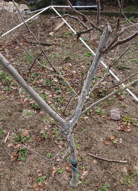 Wer sind wir? die Vierte