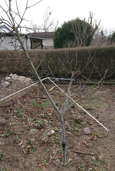 Wer sind wir? die Vierte