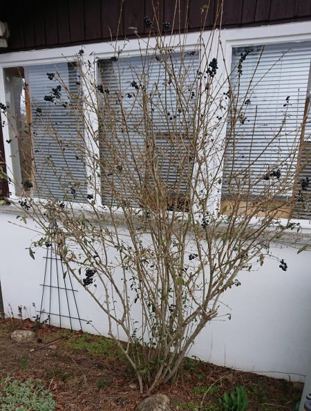 Wer sind wir? die Vierte