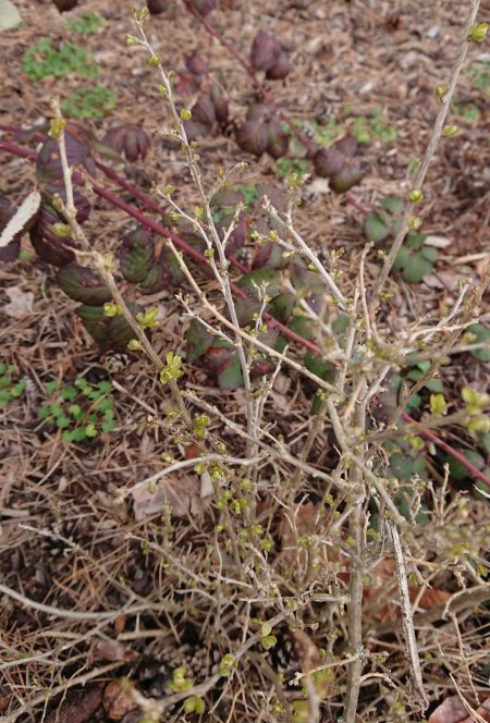 Wer sind wir? die Sechste