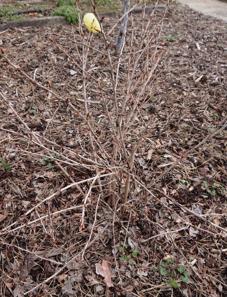 Wer sind wir? die Sechste