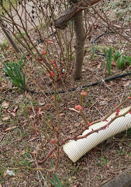 Wer sind wir? die Sechste