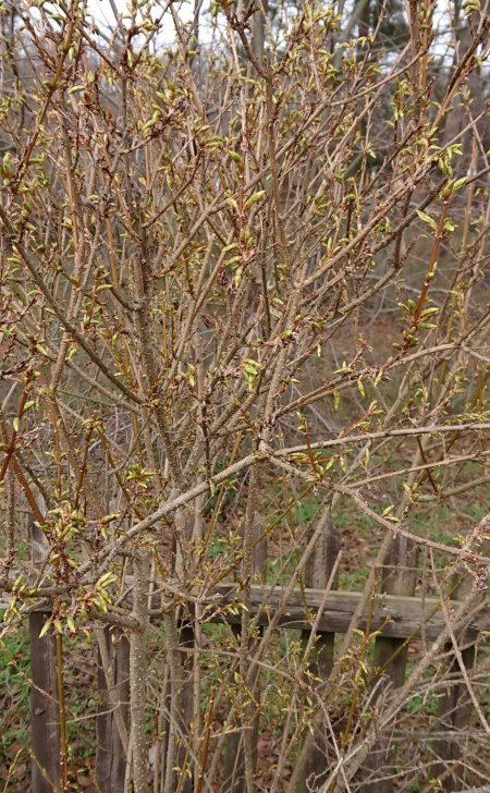 Wer sind wir? die Sechste