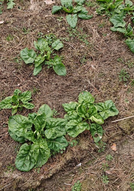 Wer sind wir? die Siebte