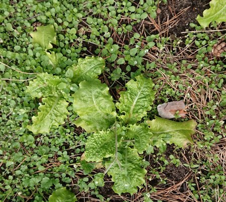 Wer sind wir? die Siebte