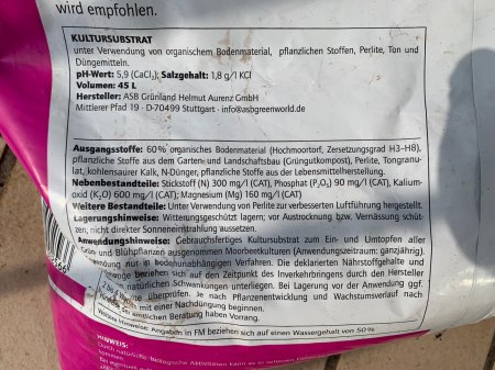 Areca / Goldfruchtpalme + Ficus & Dracena pflegen / in schlechtem Zustand