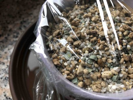 Lebende Steine und Granite - Lithops - Pleiospilos III