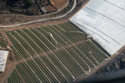 plantage.jpg