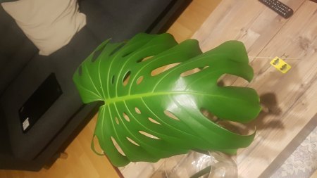 Schlaffe Blatt