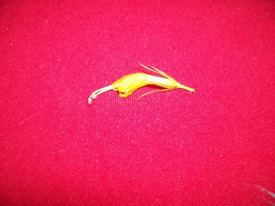 101_0912.jpg