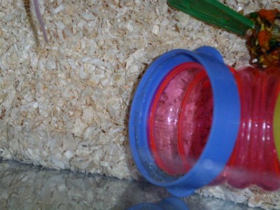 PICT0523.JPG