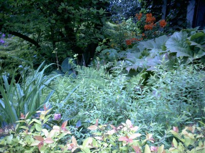 garten13.JPG