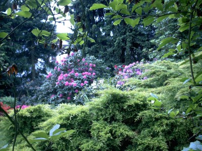 garten11.JPG