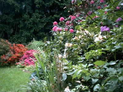 Garten5.JPG
