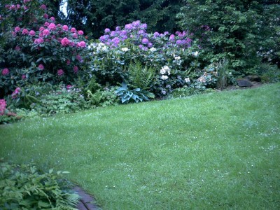garten4.JPG
