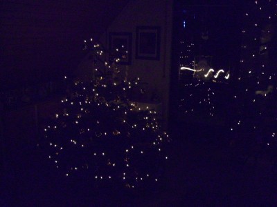 Weihnachtsbaum - Kopie.JPG