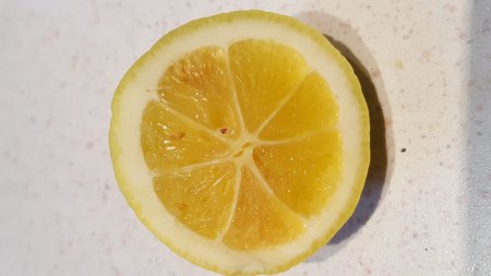 Bestimmung einer Zitruspflanze - Meyer-Zitrone
