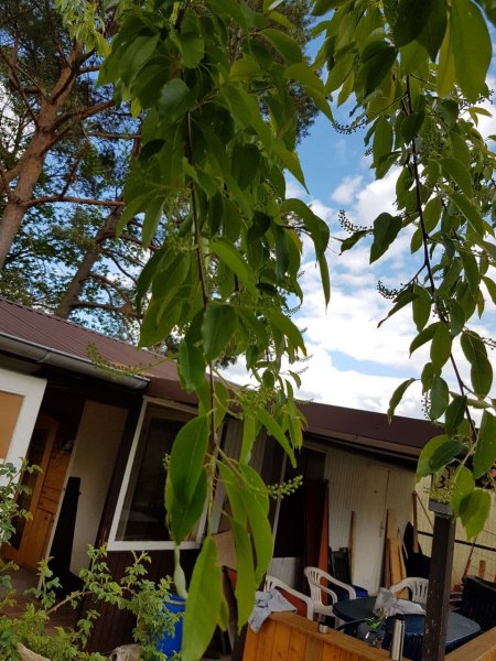 Wer sind wir? die Vierte