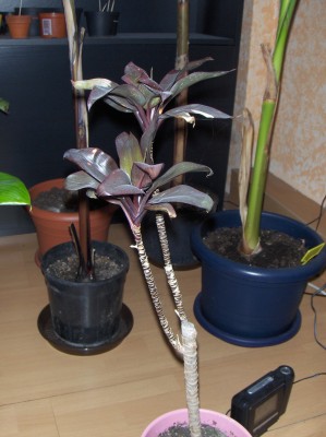 Bild 099.jpg