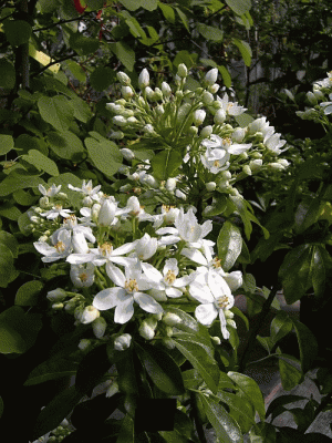unbek1aa6.gif