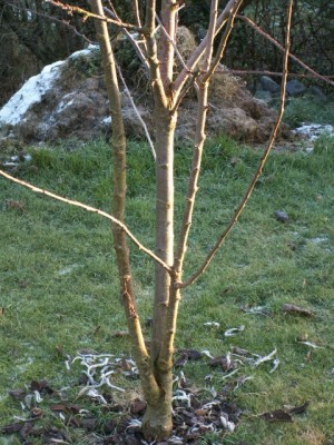 PICT0074.JPG