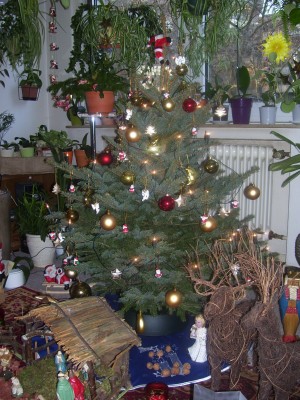 weihnachten 07 021.jpg