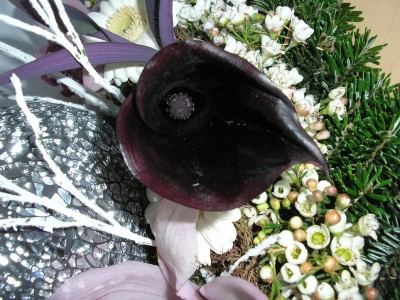 blackcalla.JPG